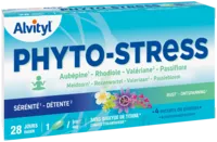 Govital Phyto-stress 28 Gélules à Plaisir